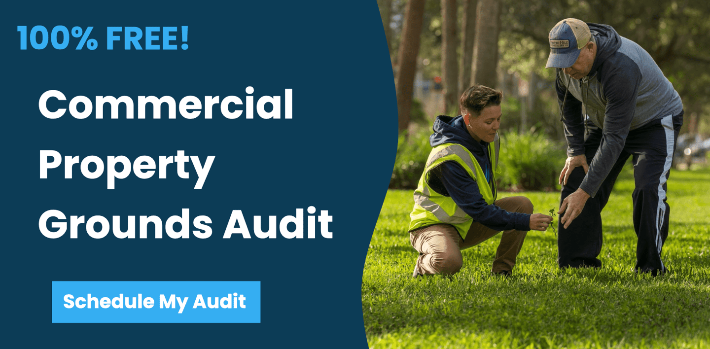 commercial landscaping audit tampa florida