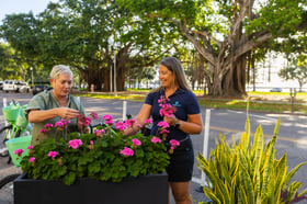 account manager property commercial site walk inspection planter container flowers 6