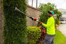 crew shear trimming shrub maintenance hedge 2