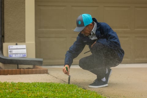 Irrigation system inspection 