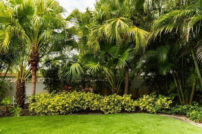 palm trees shrubs grass pond water plant bed
