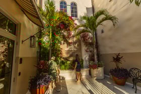 planting bed inspection account property manager commercial container pots flowers palms