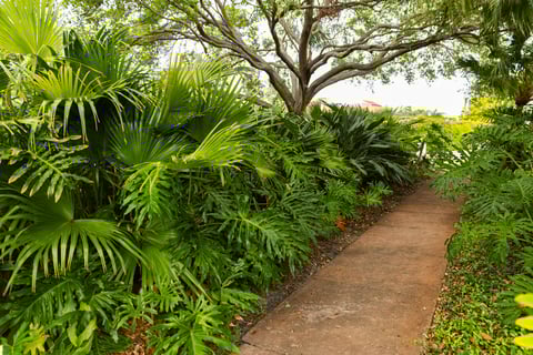 walkway landscaping 