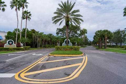 trees around street