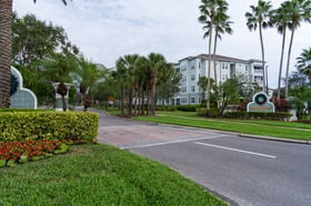 HOA front entrance with large palm trees and flower beds