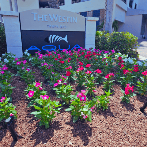 mulched commercial entrance with flowers