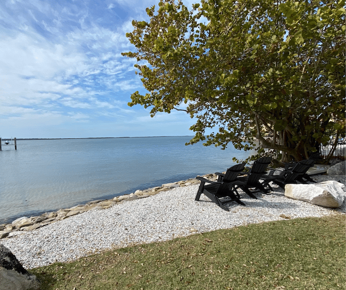 plants along ocean with seating area