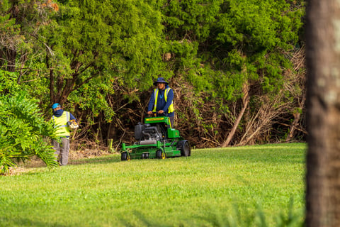 crew maintaining lawn