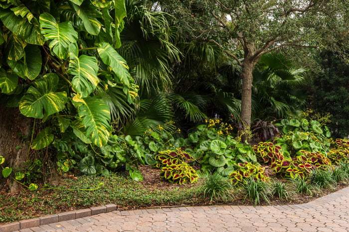 landscape maintenance garden beds along walkway