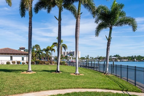 palm trees lining property along water