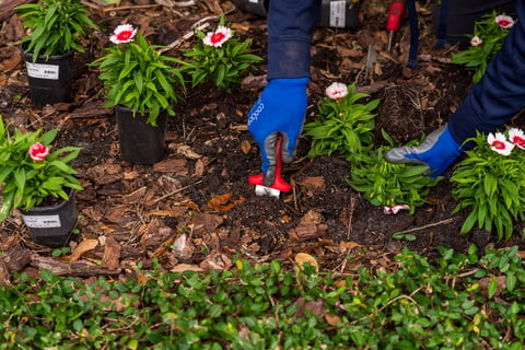 crew maintaining flower beds