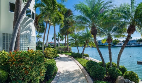 Florida landscape walkway and palm trees