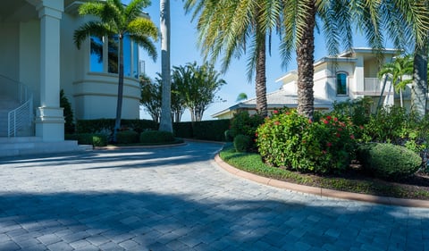 landscape along brick driveway 