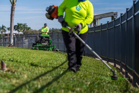 crew doing lawn maintenance