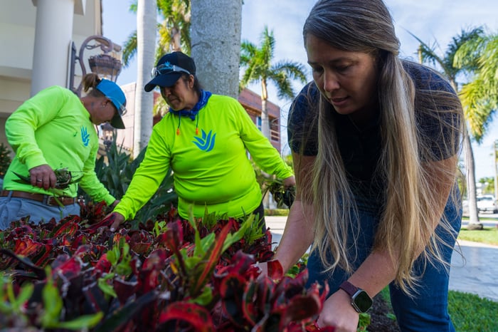 landscape maintenance crew inspecting shrubs 