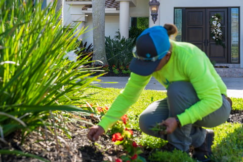 crew member removing weeds from landscape beds