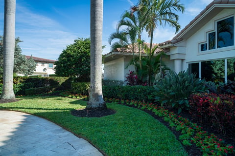 lawn next to home with sloped yard 