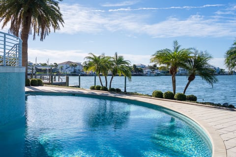 pool by the water palm trees 