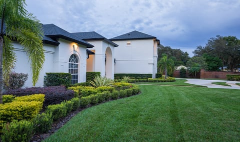 House and lawn with nice green grass in Tampa Bay, FL