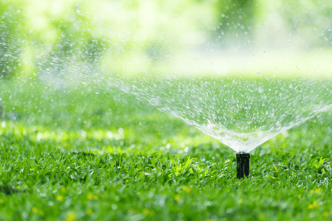 sprinkler head spraying water in lawn