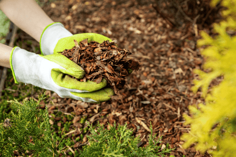 hands scooping up mulch