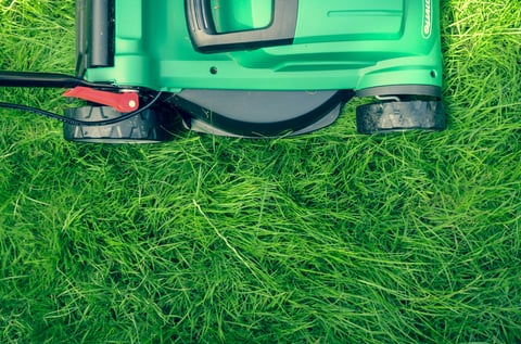 lawn mower cutting long green grass