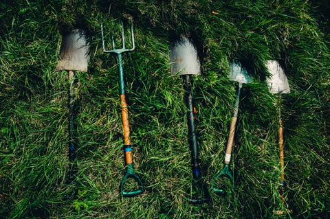 garden tools laying in green grass