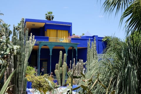 Xeriscaping example with cacti