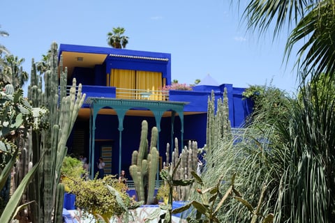 residence with cacti
