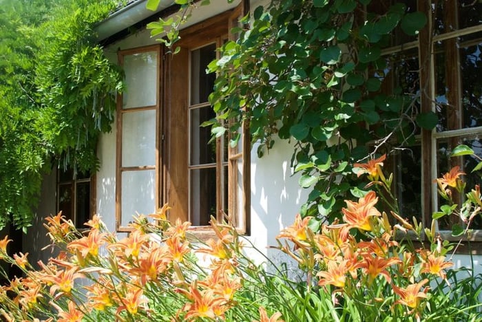 home-garden-768x514