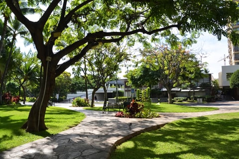 mature tree and flower along maintained lawn