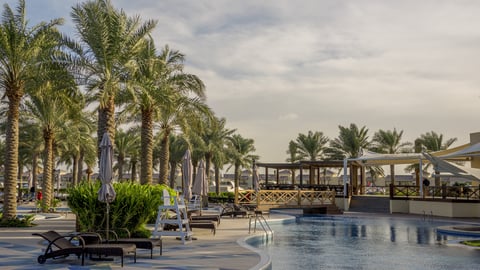 hotel pool with palm trees