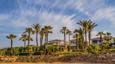property along beach with palm trees