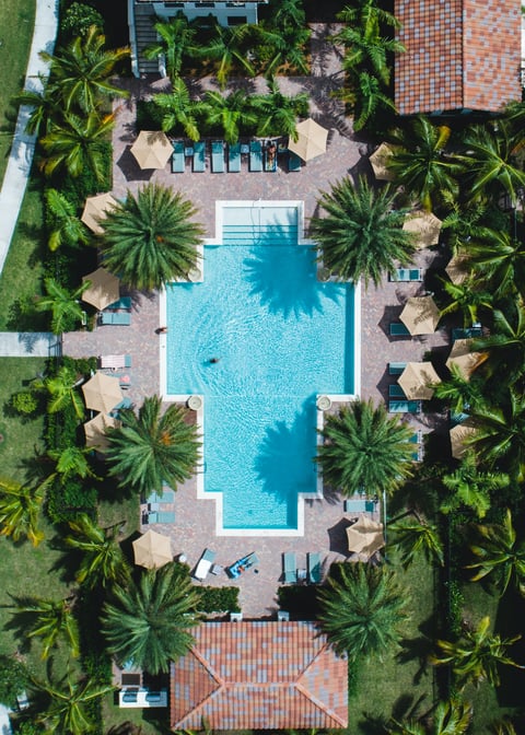 aerial view of pool and landscaping with palm trees